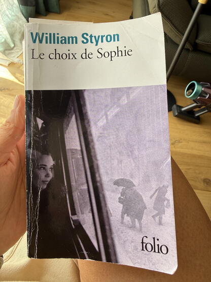 Le Choix de Sophie de William Styron, lecture quotidienne