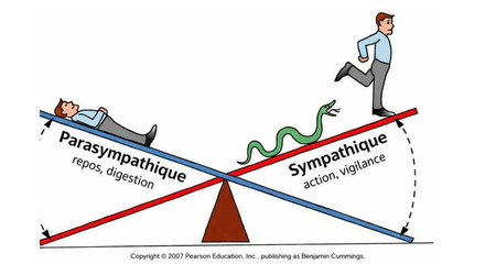 Corps et apaisement